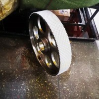 High Precision Large Size Steel Gear